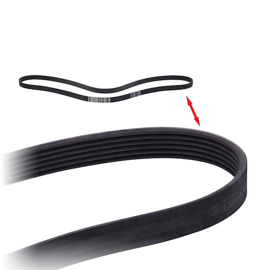 Contitech 6 Pk 1642 Multi-rib Belt