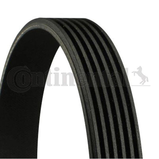 Contitech Multi-rib Belt 6 Pk 955