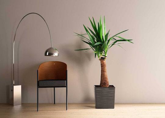 HowHomely Black Plastic Plant Pot 30cm
