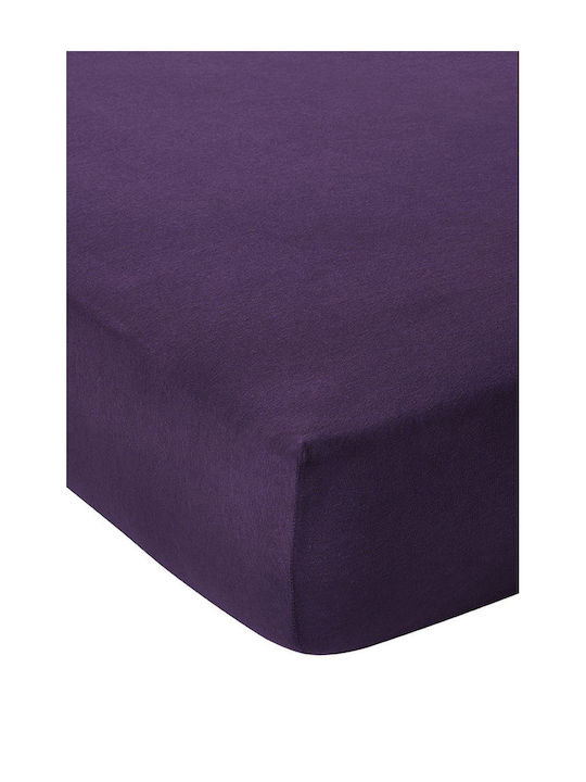 Living Home Double Bed Sheet With Rubber Hugger 160x200+30cm Brombeer