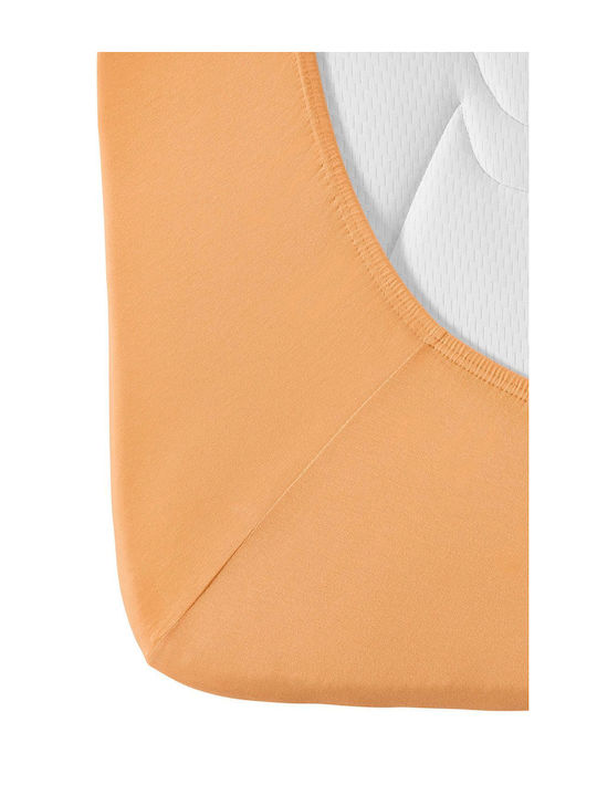 Living Home Super-Double Bed Sheet With Rubber Hugger 160x200+40cm Phirsich