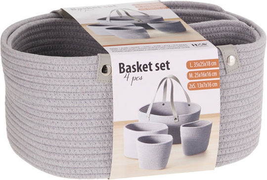 BOX37211 MA4000060 Korbweide