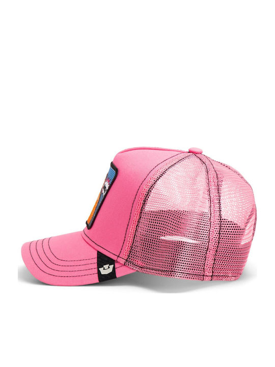 Jockey Popart Queen Lion Lioness Pink Goorin Bros