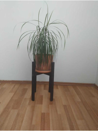 SteweHome Wooden Black Plant Stands 24cm 10 Pieces