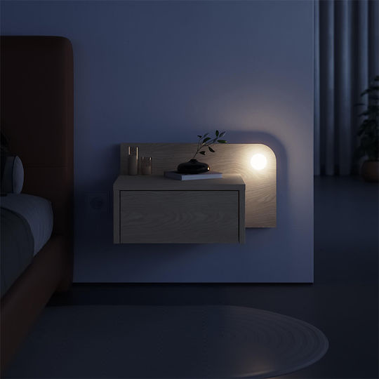 Dotta Ξύλινο 52x33.6x28cm Dotta Ξύλινο 52x33.6x28cm