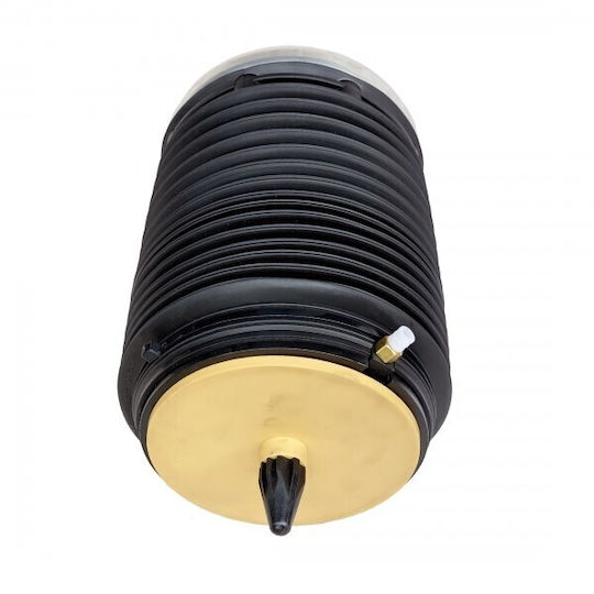 WRC Auto Parts Suspensie Pneumatică Audi A6 / A7