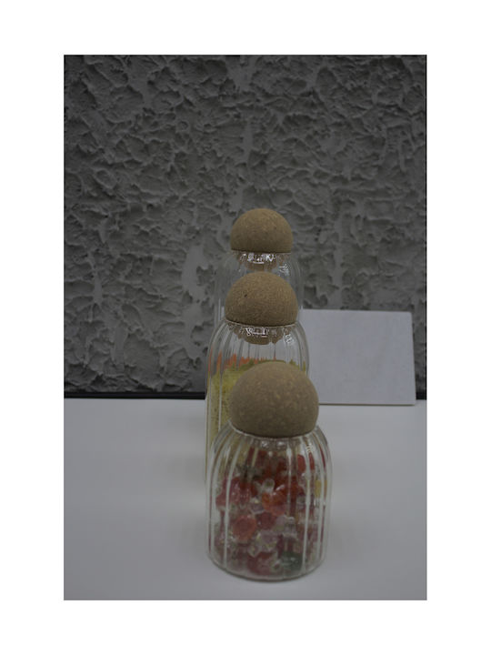 SteweHome Set of 3 General Use Glass Jars with Cork 1000ml
