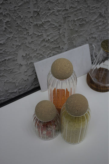 SteweHome Set of 3 General Use Glass Jars with Cork 1000ml