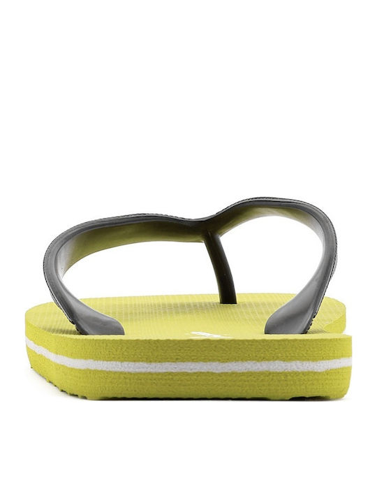 Big Classic Evo Men's Flip Flops Green