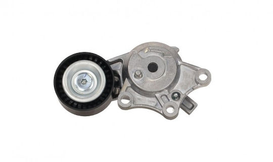 Spanner Riemen Micro-v Citroen Jumpy 2016 Set 39174668