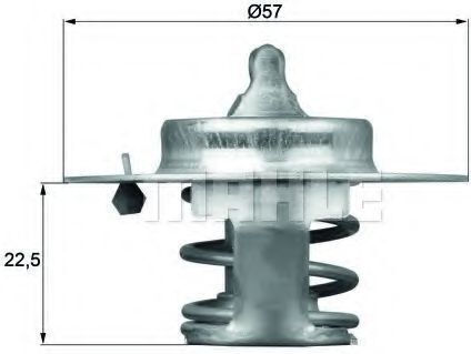 Termostat lichid de răcire Mahle Original Tx 60 83d