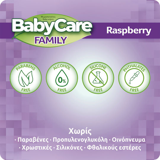 BabyCare Family Șervețele Umede Bebe Fără Alcool și Parabeni 12x90buc