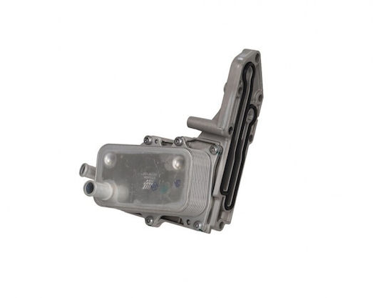 Ψυγείο Λαδιού Ford Transit 06 Bk3q6b624cc