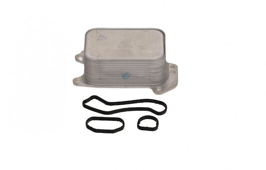 Fast Car Oil Radiator for Citroen Berlingo