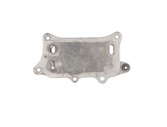 Fast Radiator de ulei pentru Audi A4