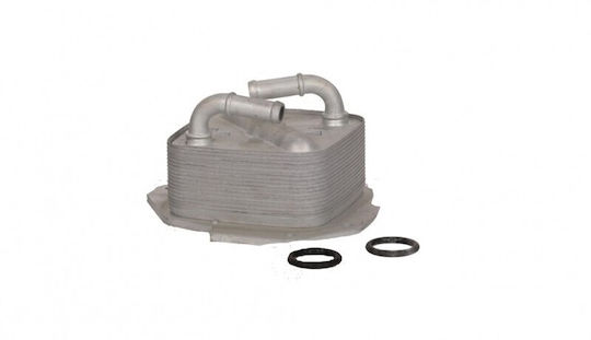 Fast Car Engine Oil Radiator for Mazda 6