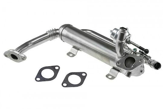 NTY Радиатор EGR за автомобил за Volkswagen Caddy / Golf Plus / Golf / Passat Audi A3