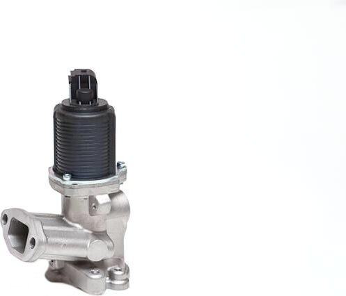 SKV Fiat Idea Auto-Motorventil für EGR