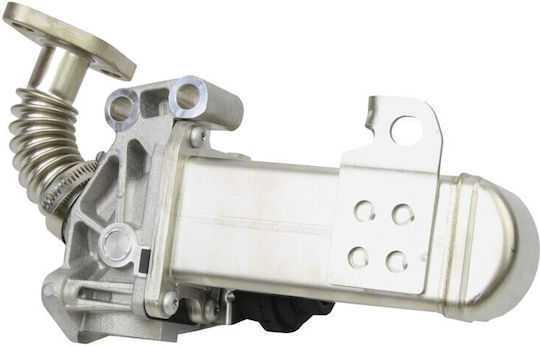 Maxgear Βαλβίδα EGR Αυτοκινήτου για Nissan Navara