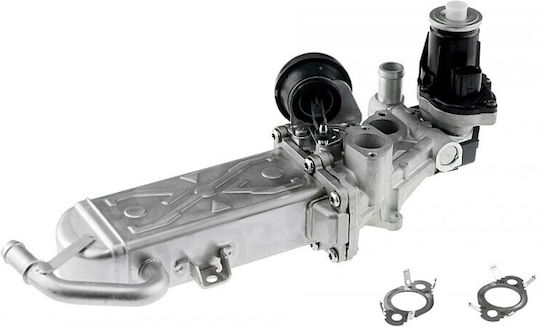 NTY Car EGR Valve for Volkswagen Golf / Passat
