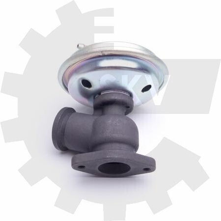 SKV Βαλβίδα EGR Αυτοκινήτου για Peugeot 406 Citroen C5