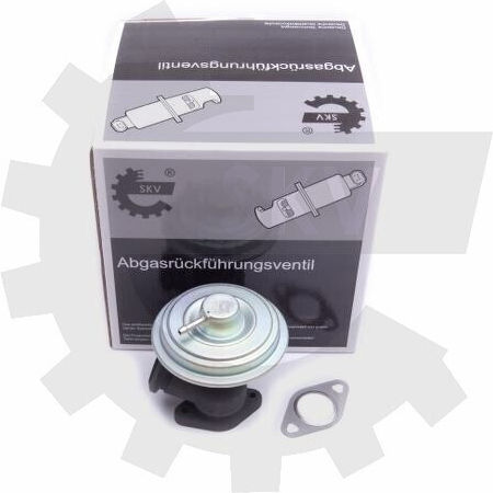 SKV Βαλβίδα EGR Αυτοκινήτου για Peugeot 406 Citroen C5