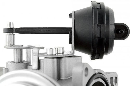 NTY Car EGR Valve for Seat Cordoba / Ibiza Volkswagen Polo