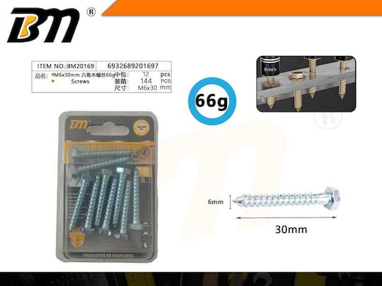 Coach Screw Hexagon M6x30mm 66g Set 12 Packs 201697 6932689201697