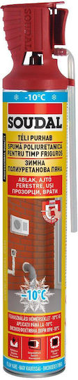 Spumă de montaj de mână Winter 750 Ml