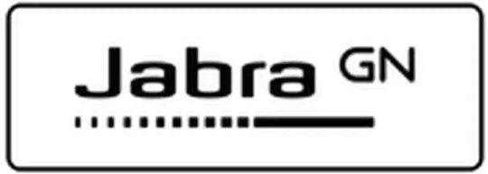 Jabra Evolve 20 Mono На ушите Мултимедийни слушалки с микрофон и връзка USB-A в Черен цвят