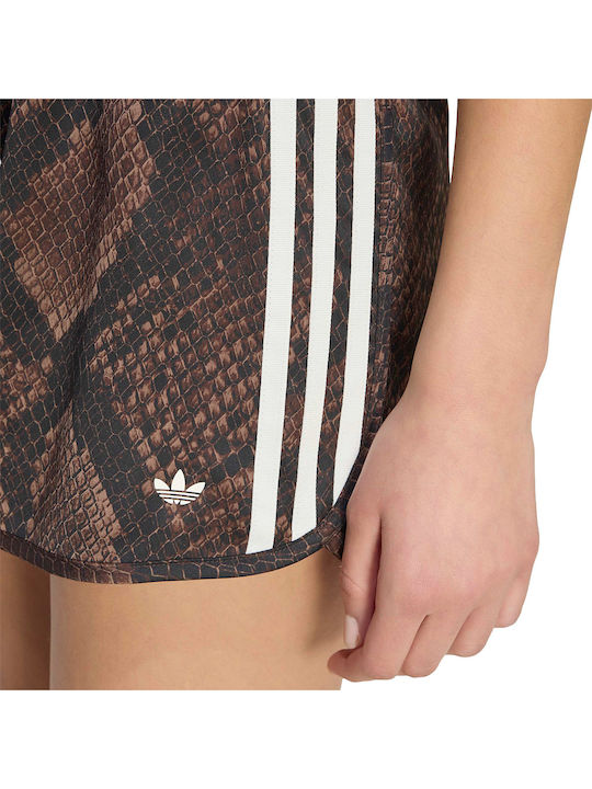 Women's Brown Shorts