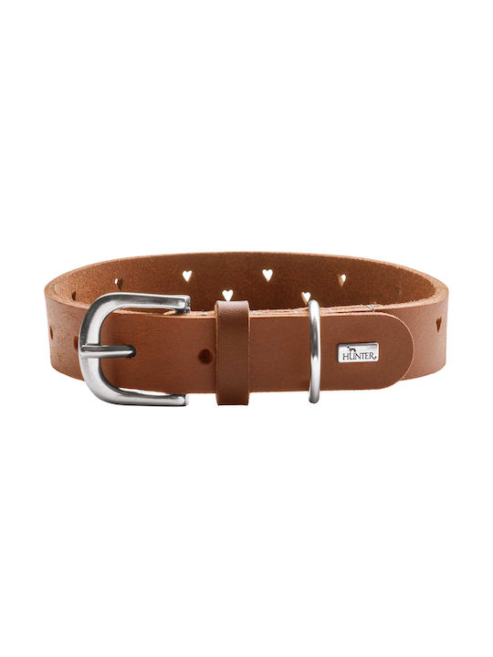 Hunter Aalborg Soul Δερμάτινο Περιλαίμιο Σκύλου Xs-s 35 Cm Πλάτος 2 Cm Φυσικό Βοοδέρμα Κατασκευασμένο Στο Χέρι Στη Γερμανία