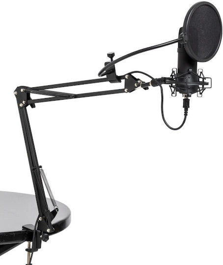 Stagg SUM45 Set USB Microphone Shock Mounted for Vocals
