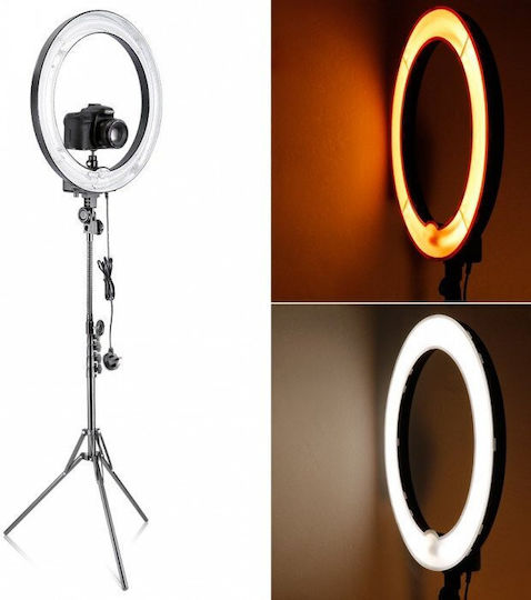 Ring Light