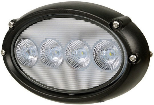 Cree Far Rotund Auto LED 12V 40W 16.7cm 1 Bucată