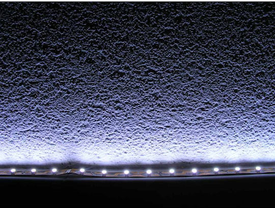 Waterproof LED Strip 12V Cold White Light 5m Type SMD3528 with Power Supply