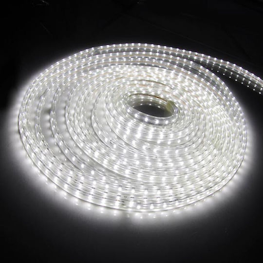 Waterproof LED Strip 12V Cold White Light 5m Type SMD3528 with Power Supply