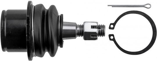 NTY Frontsystem Für Cadillac Cts 2007-0 3.0l Limousine Cadillac Cts 2007-0 6.2l Limousine Cadillac Cts 2007-0 2.8l Limousine