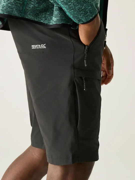Regatta Herren Kurze Bergsteigerhose Grau