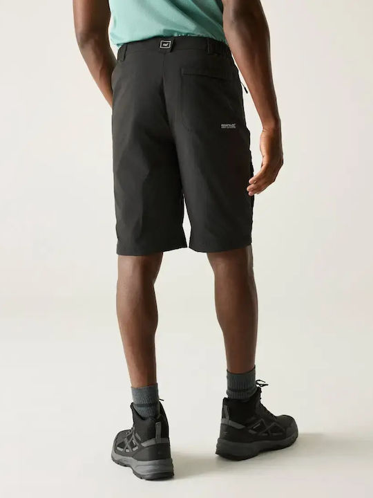 Regatta Herren Kurze Bergsteigerhose Grau