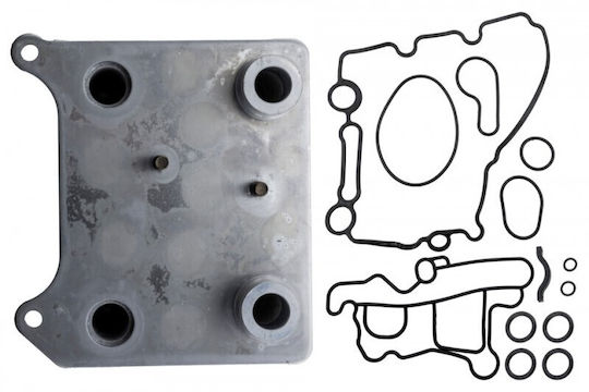 Ford Usa F-250 2003-2007 6.0l Pickup Öl Kühlschrank