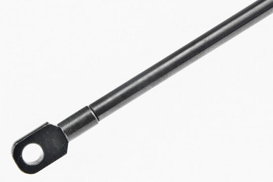 NTY Trunk Shock for Citroen C5