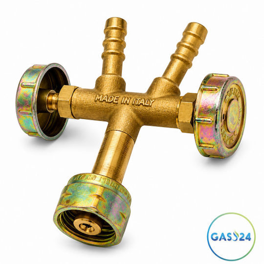 Gas Regulator