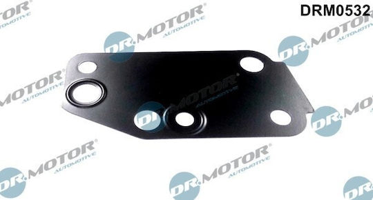 Garnitură Pompă De Apă Ford Rover 2.4 Tdci 00 1096559