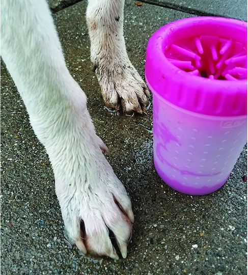 Large Paw Cleaner 60 Gab_b