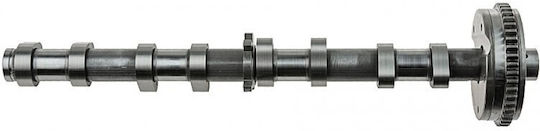 Camshaft Audi A3 2003-2013 2.0l Hatchback Audi A3 2003-2013 1.8l Hatchback Audi A3 Convertible 2008-2013 2.0l Convertible