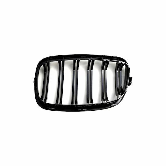 Car Decorative Mask BMW F20 / M1