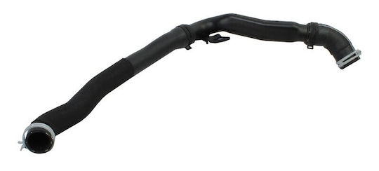 Radiator Hose Oe Ford