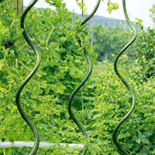 Spiral Stahl Pflanzenspieße Rossima Sr-11-150
