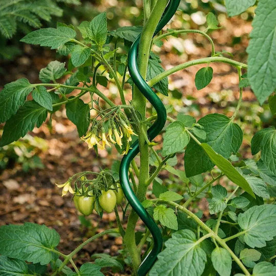 Spiral Stahl Pflanzenspieße Rossima Sr-11-150